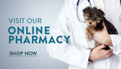 Pet vet hot sale online pharmacy